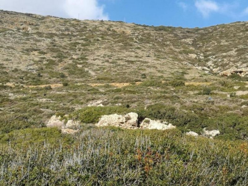 Plaka bei Elounda Kreta, Plaka Elounda: Bauland direkt am Meer zu verkaufen Grundstück kaufen